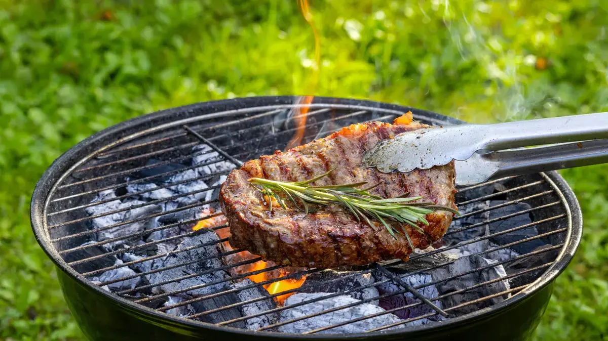 Charcoal Grill Myth: Why Sticking to Pure Charcoal Limits Flavor and Flexibility