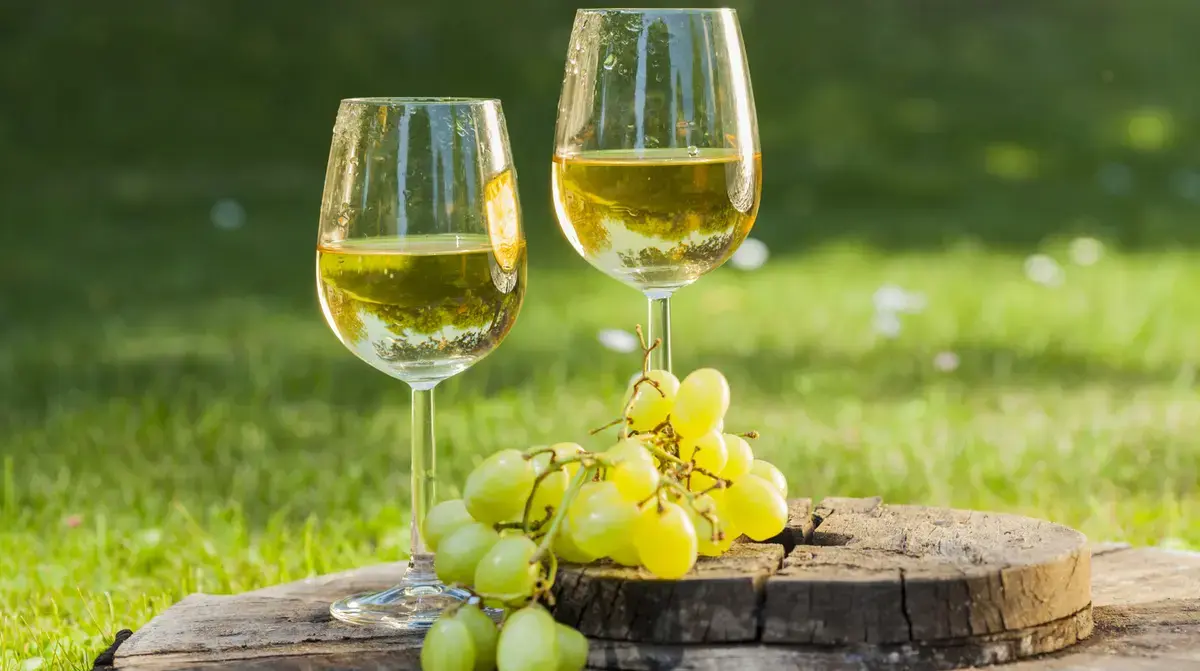 Comparing Sauvignon Blanc and Moscato: Key Distinctions