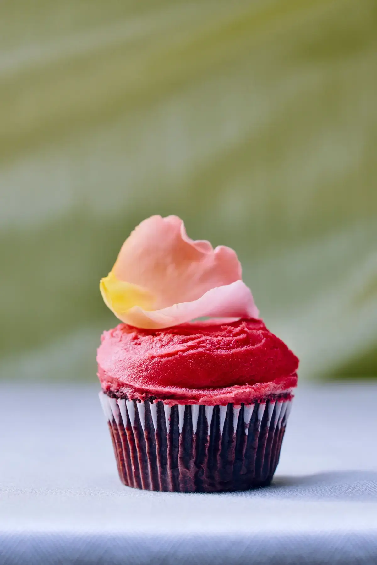 Cupcakes Make a Sweet Comeback with New Recipes