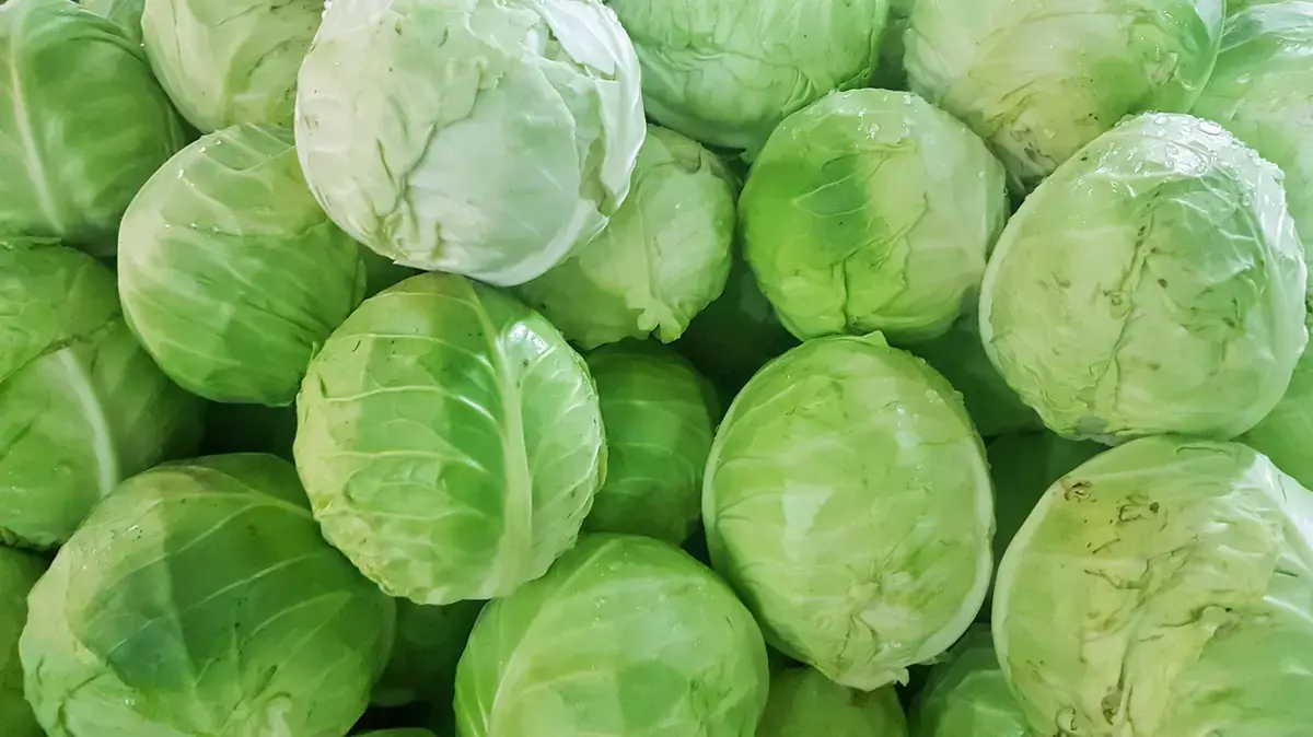 Elevate Your Cabbage Dishes Using This Simple Pantry Staple