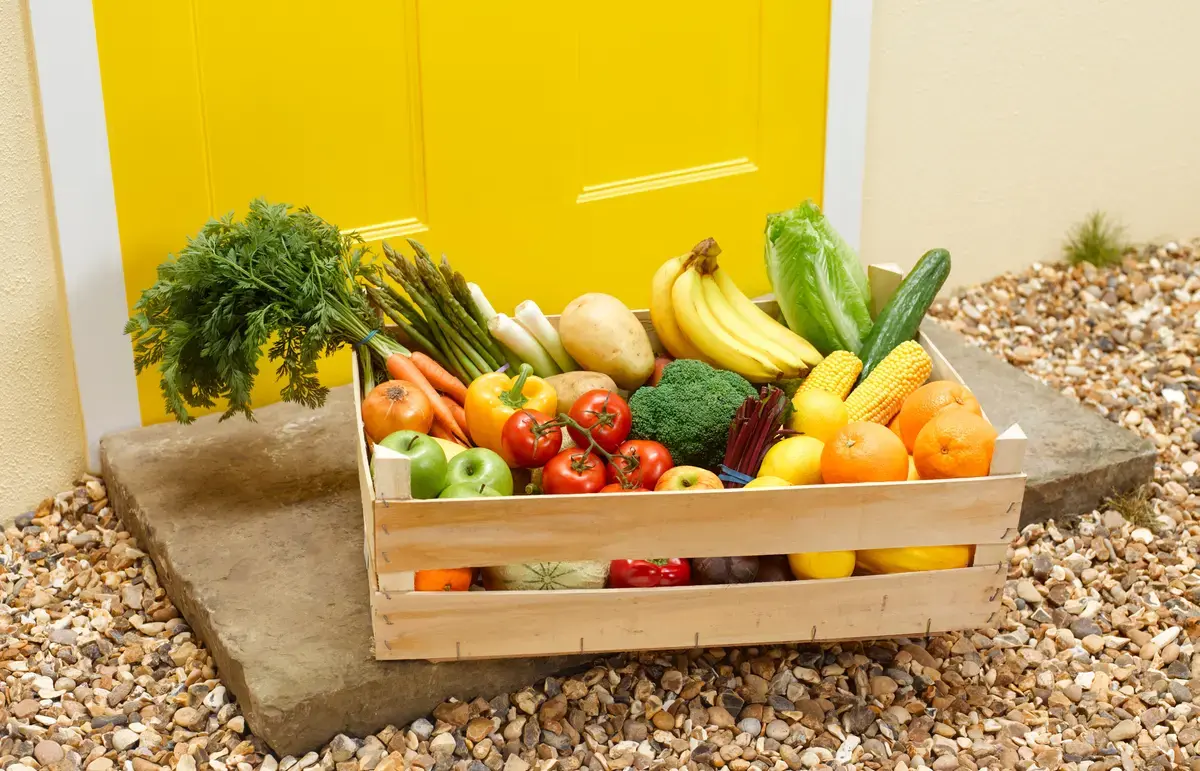 Exploring the Best Veg Boxes for 2026: A Guide to Fresh Produce Deliveries