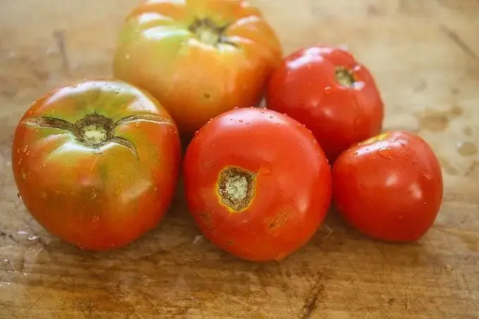 Is It Safe to Eat a Split Tomato?