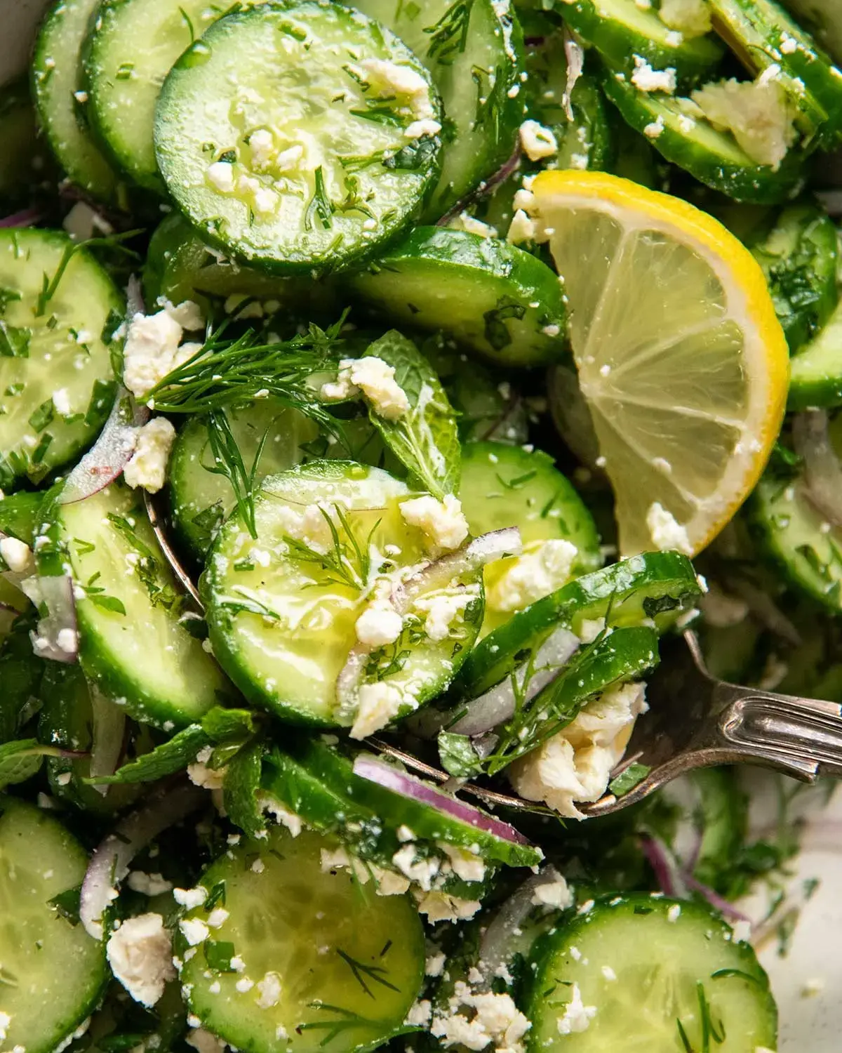 Mediterranean Cucumber Salad Recipe Gains Popularity as Summer Favorite