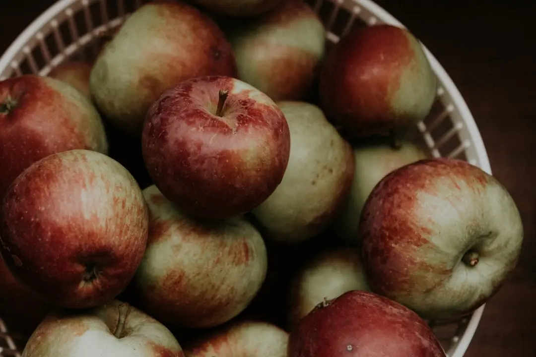 Apples and Honey Snacking Cake for Rosh Hashanah