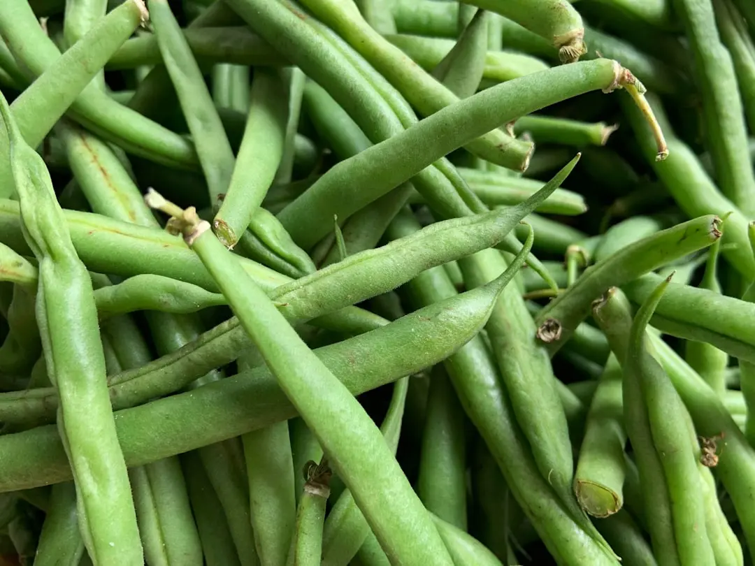 Tomato and Green Bean Salad Offers Fresh Contrast to Heavy Summer Barbecue Fare