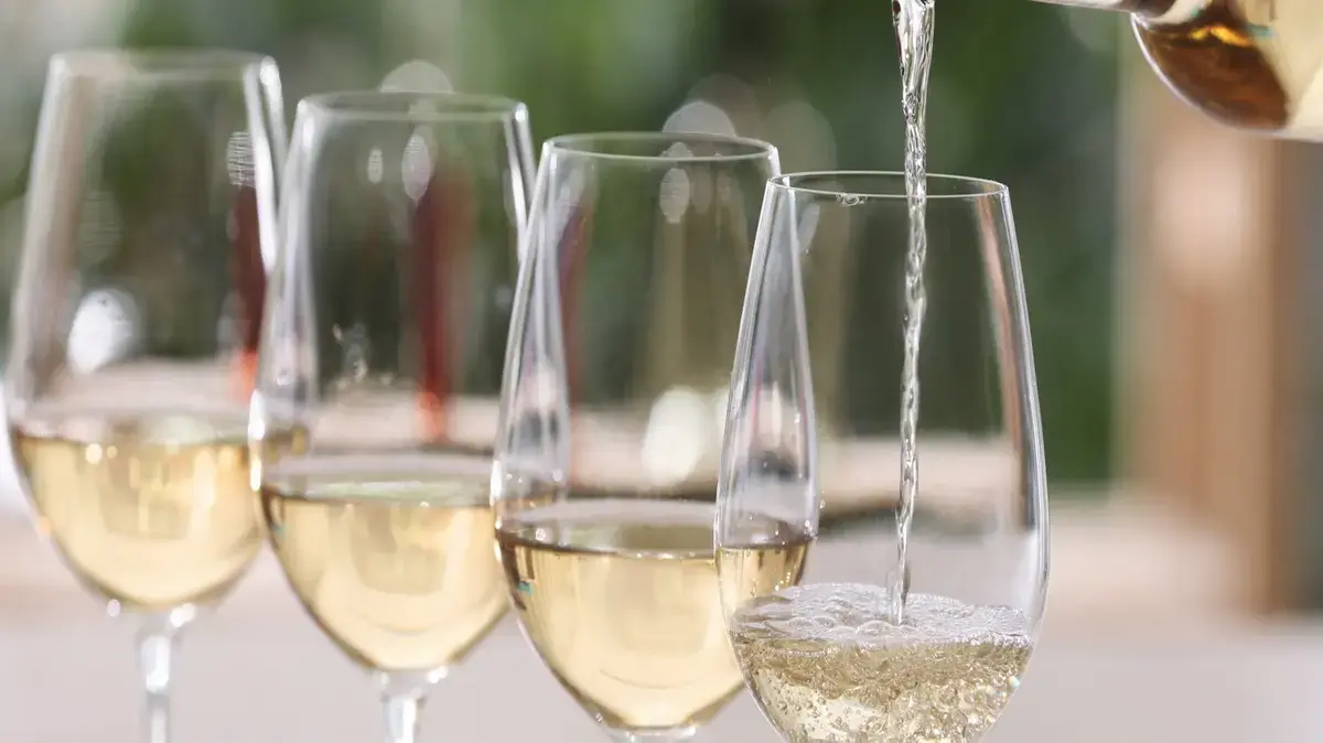 Sauvignon Blanc and Pinot Blanc: Understanding the Key Differences