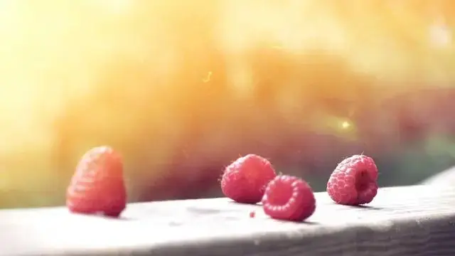 School Lunchbox Recipes Offer Healthy and Fun Options for Kids