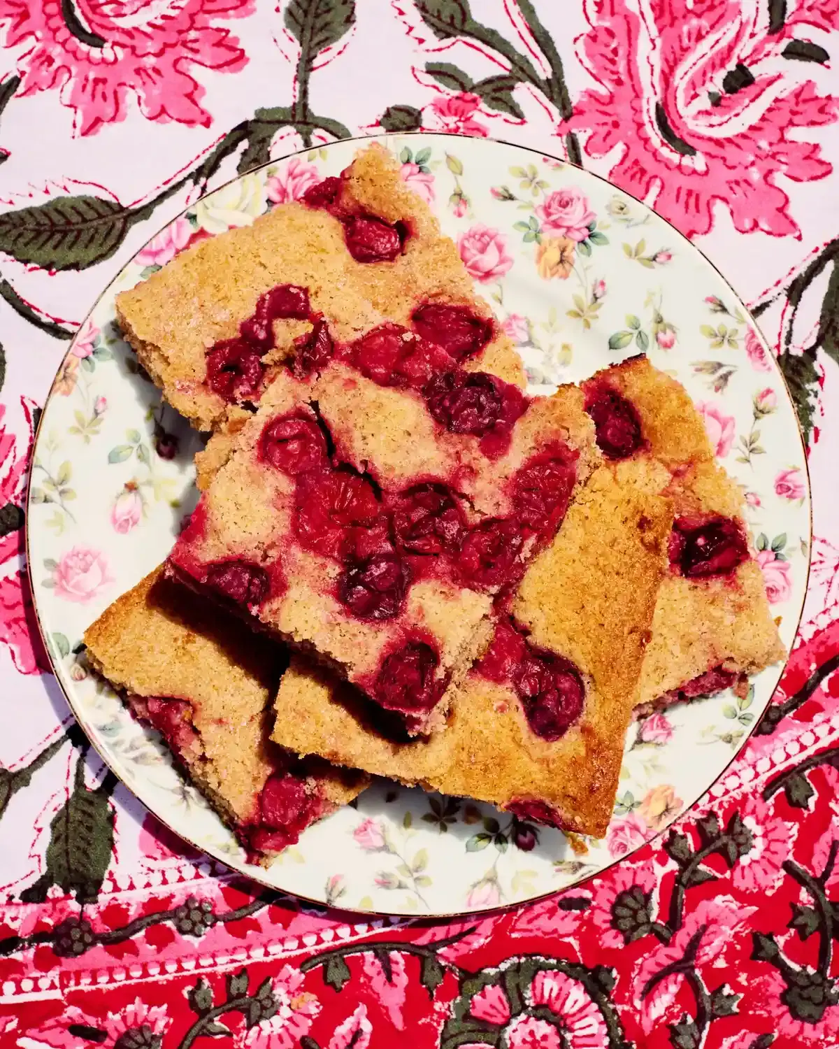Sour Cherry Cake: A Taste of Hungarian Tradition