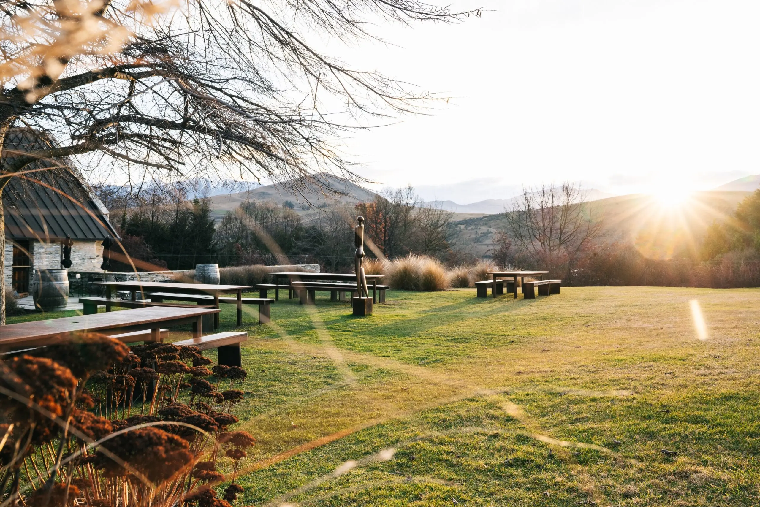 A Fresh Culinary Vision Takes Root in Central Otago