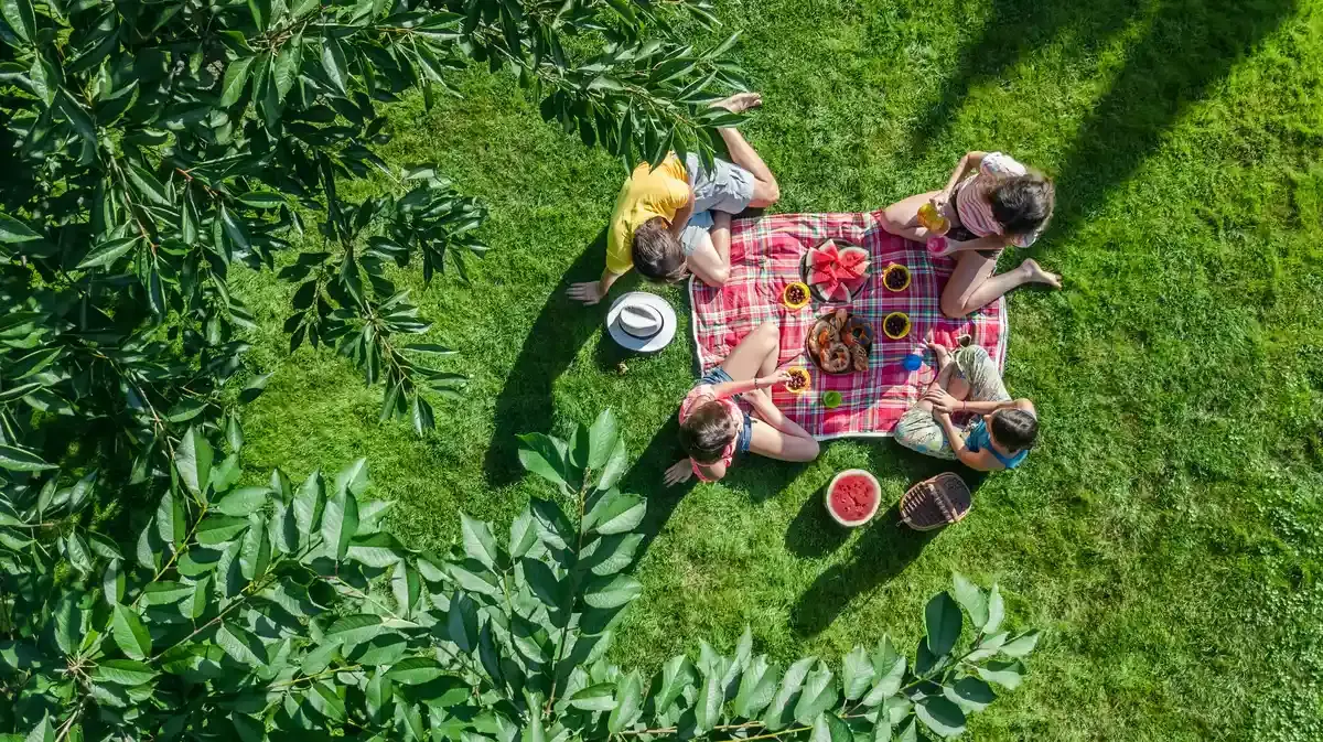 The One Thing Ruining Your Picnic Sandwiches