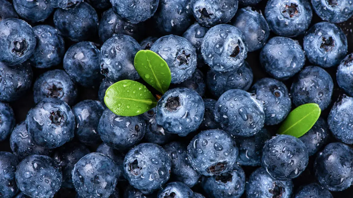 The Truth About Blueberry Flavor: It's Not Just About Size