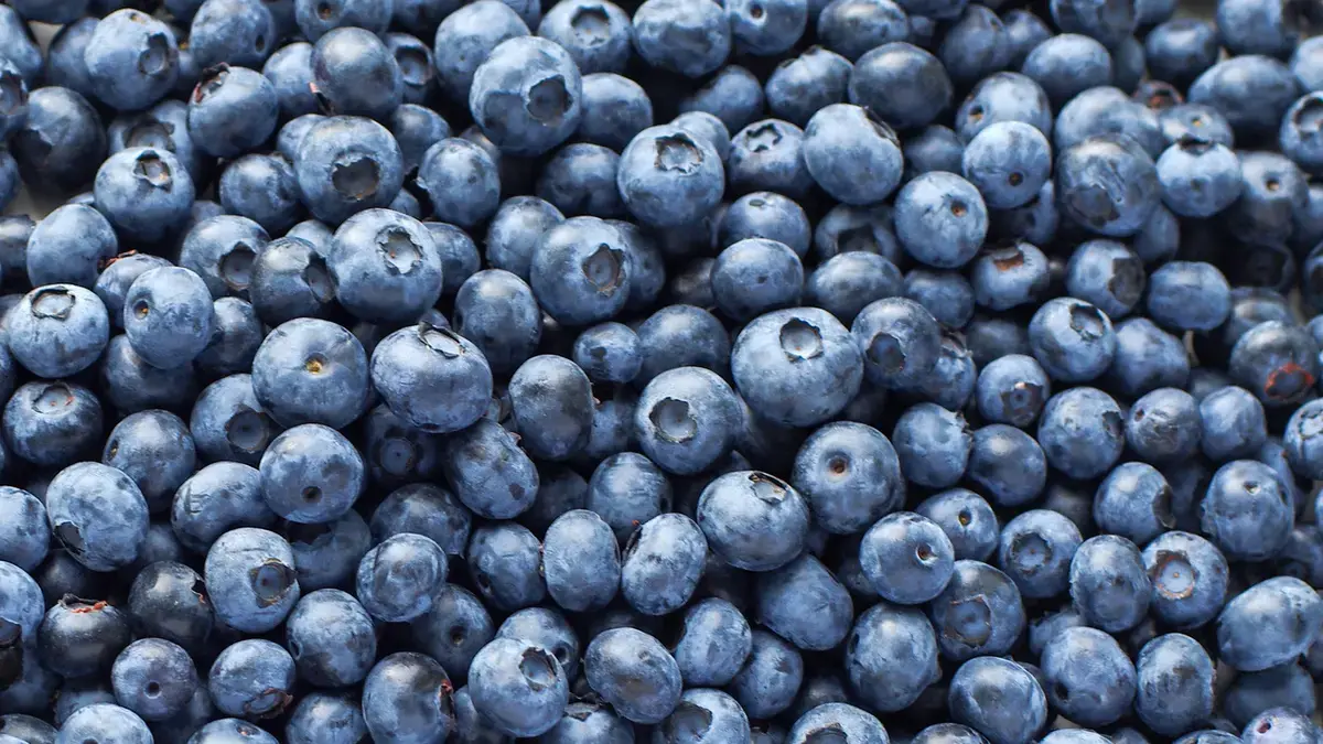 Trader Joe's Offers a Bounty of Blueberry Delights