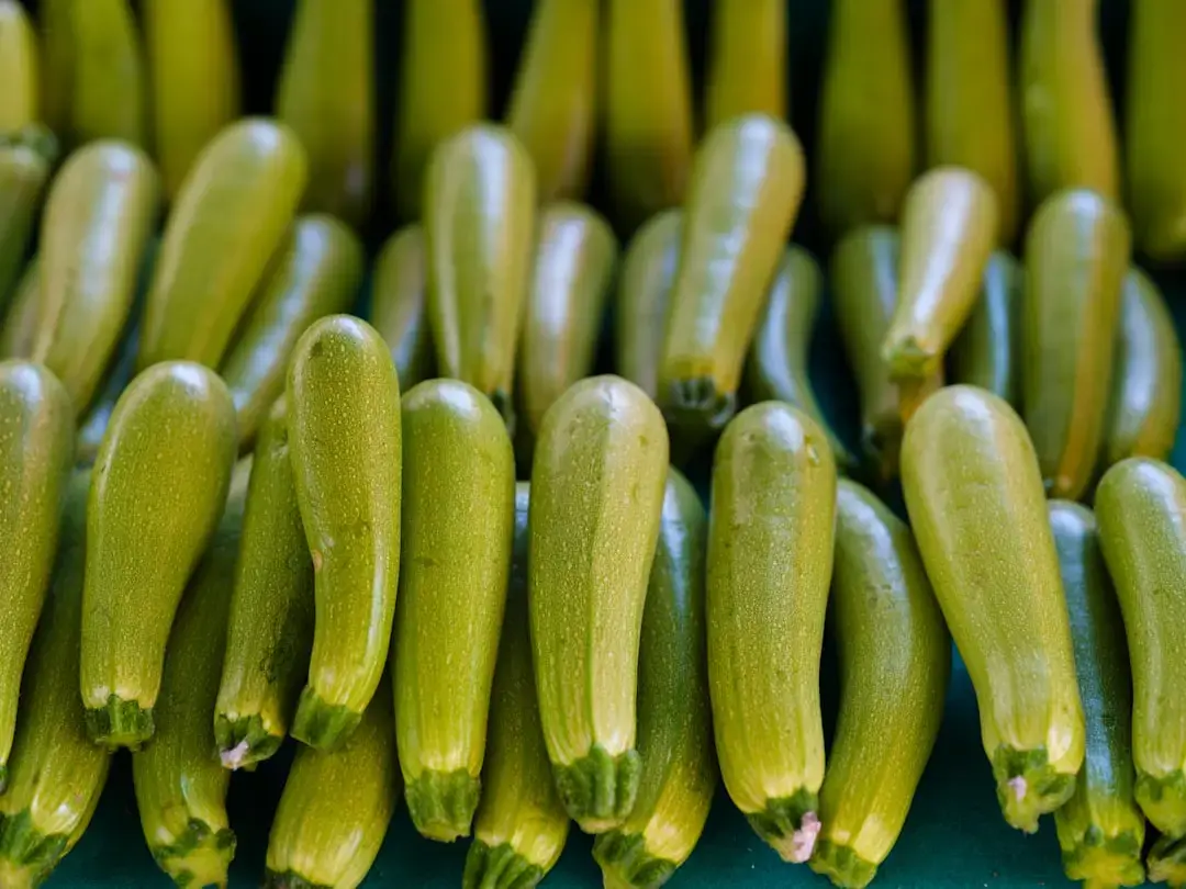 Zucchini with Garlic Sauce