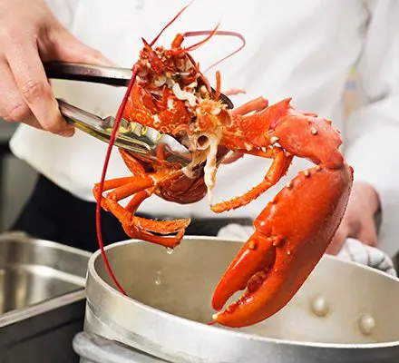 Lobster Mastery: Chef Barney Shares Cooking Tips and Serving Ideas