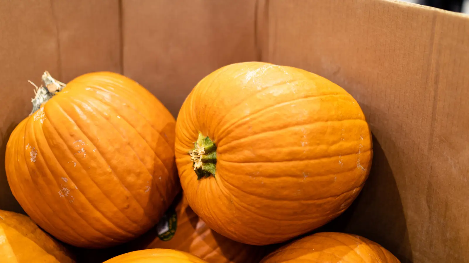 Costco Pumpkin Snacks Dominate Fall Shopping Lists