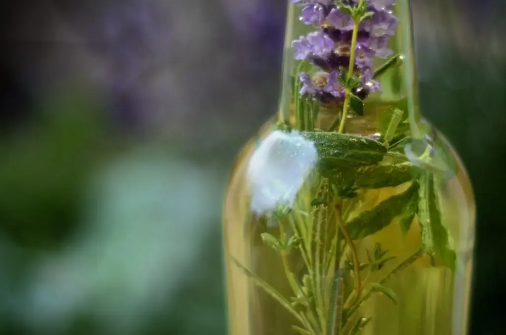 Nourished Kitchen Launches Four Thieves Vinegar Workshop