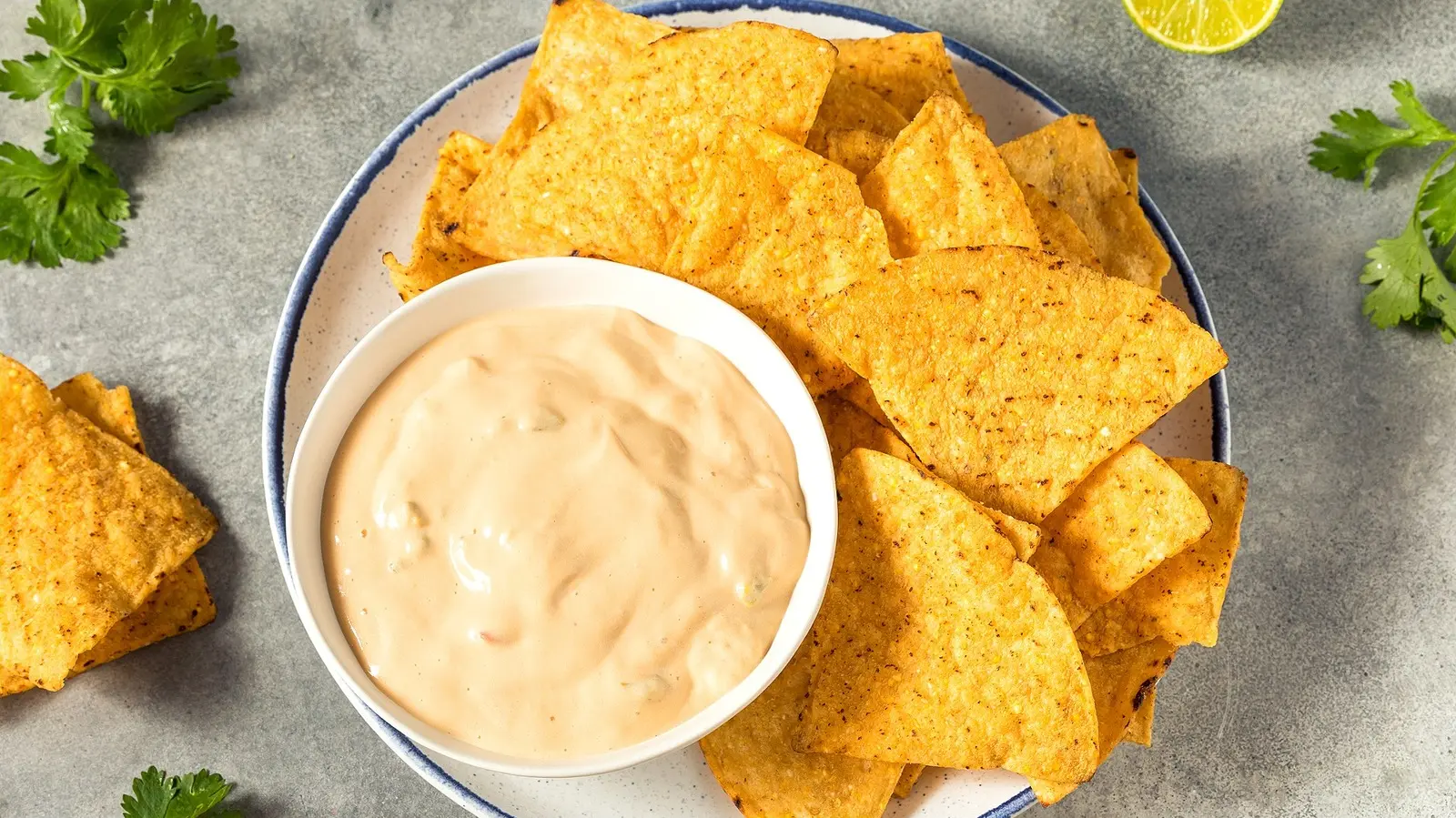 Give Queso Dip An Unforgettable Texture By Adding This High-Protein Ingredient