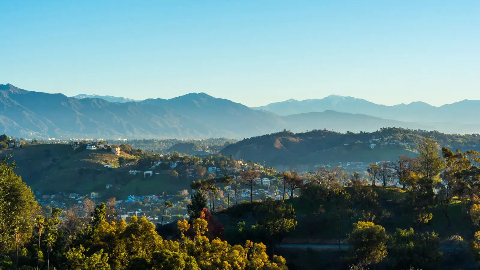 San Gabriel Valley Restaurants Define East Asian Cuisine