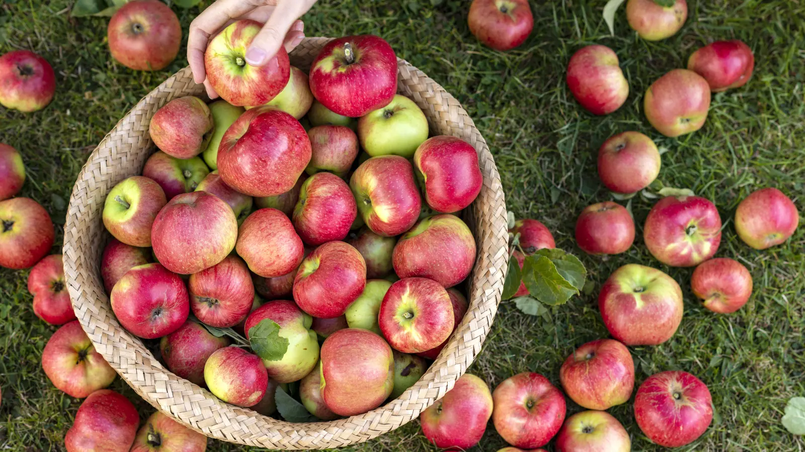 Make a Pinch of Salt Turn Ordinary Apples Into Delicious Treats