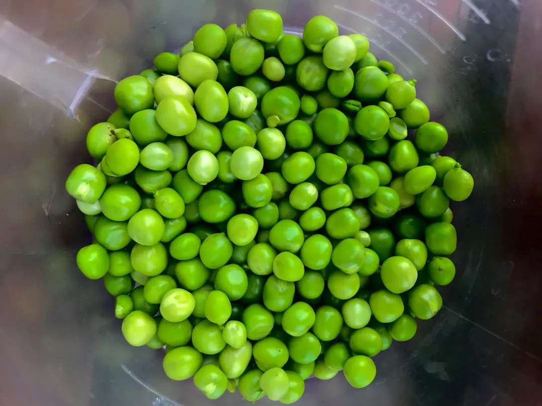 Soya Kheema Matar: A Plant‑Based Twist on Classic Indian Curry