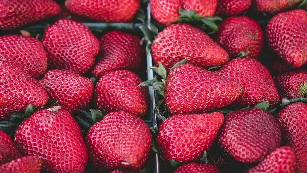 Vegan Nutella Ice Cream Delights Plant-Based Dessert Lovers