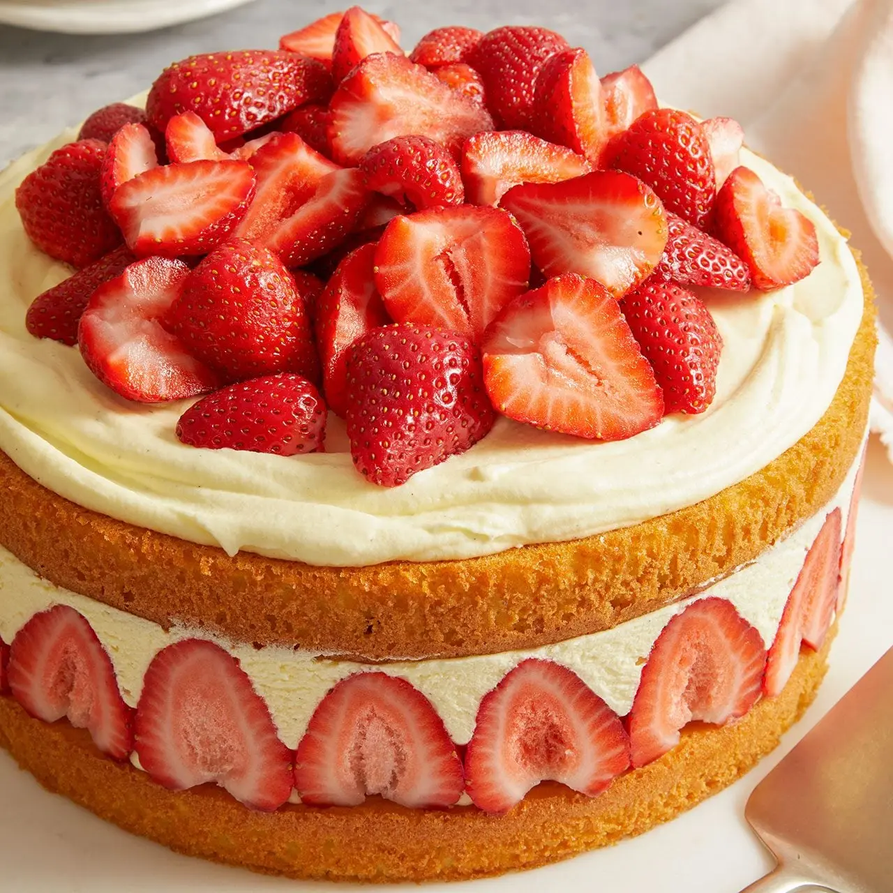 The Classic French Fraisier: A Masterclass in Strawberry Elegance