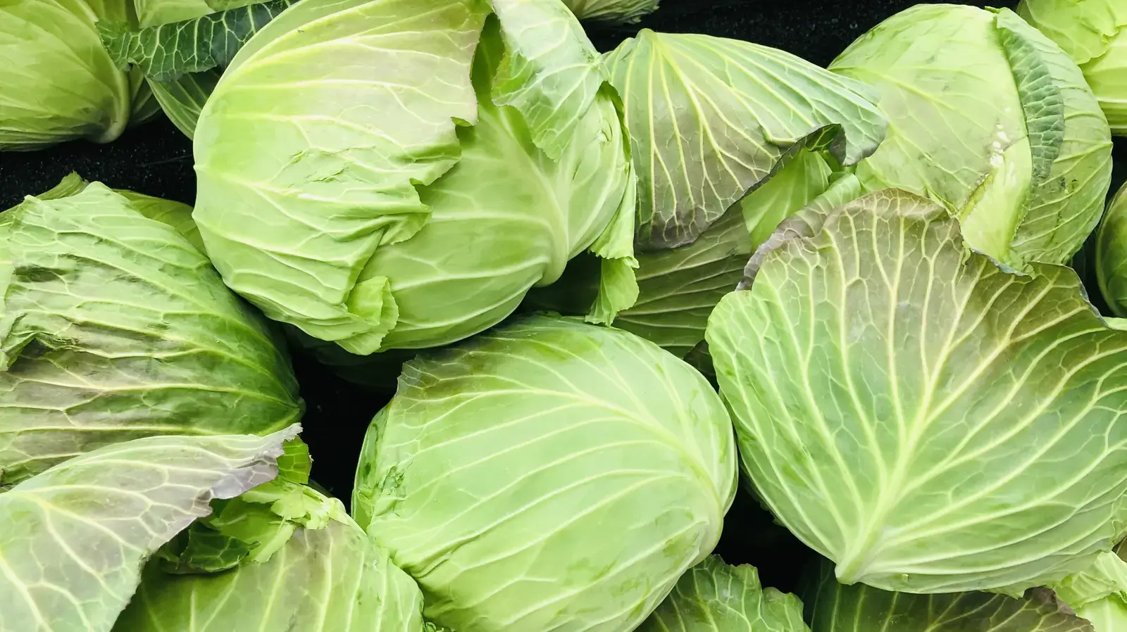 Give Cabbage The Mac And Cheese Treatment For 10x More Flavor