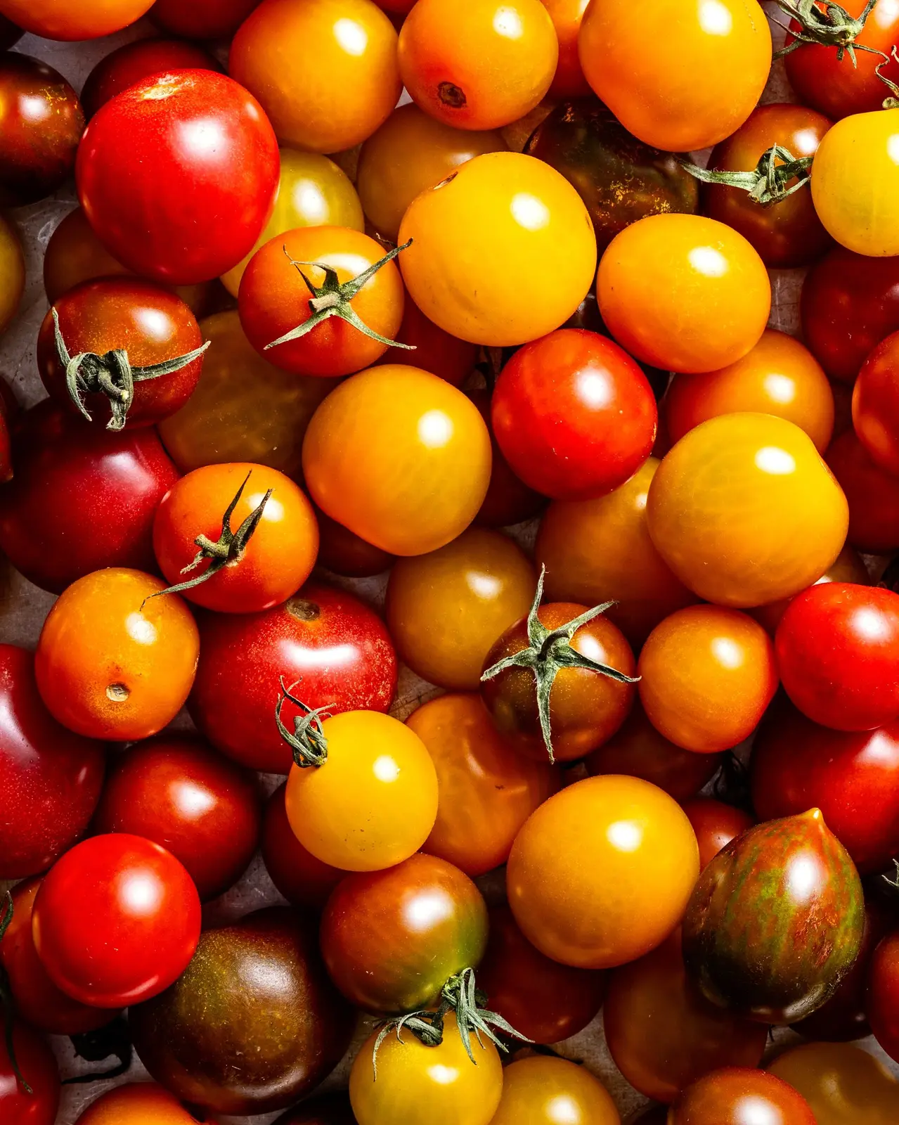 How to Bring Tomatoes to Full Ripeness at Home