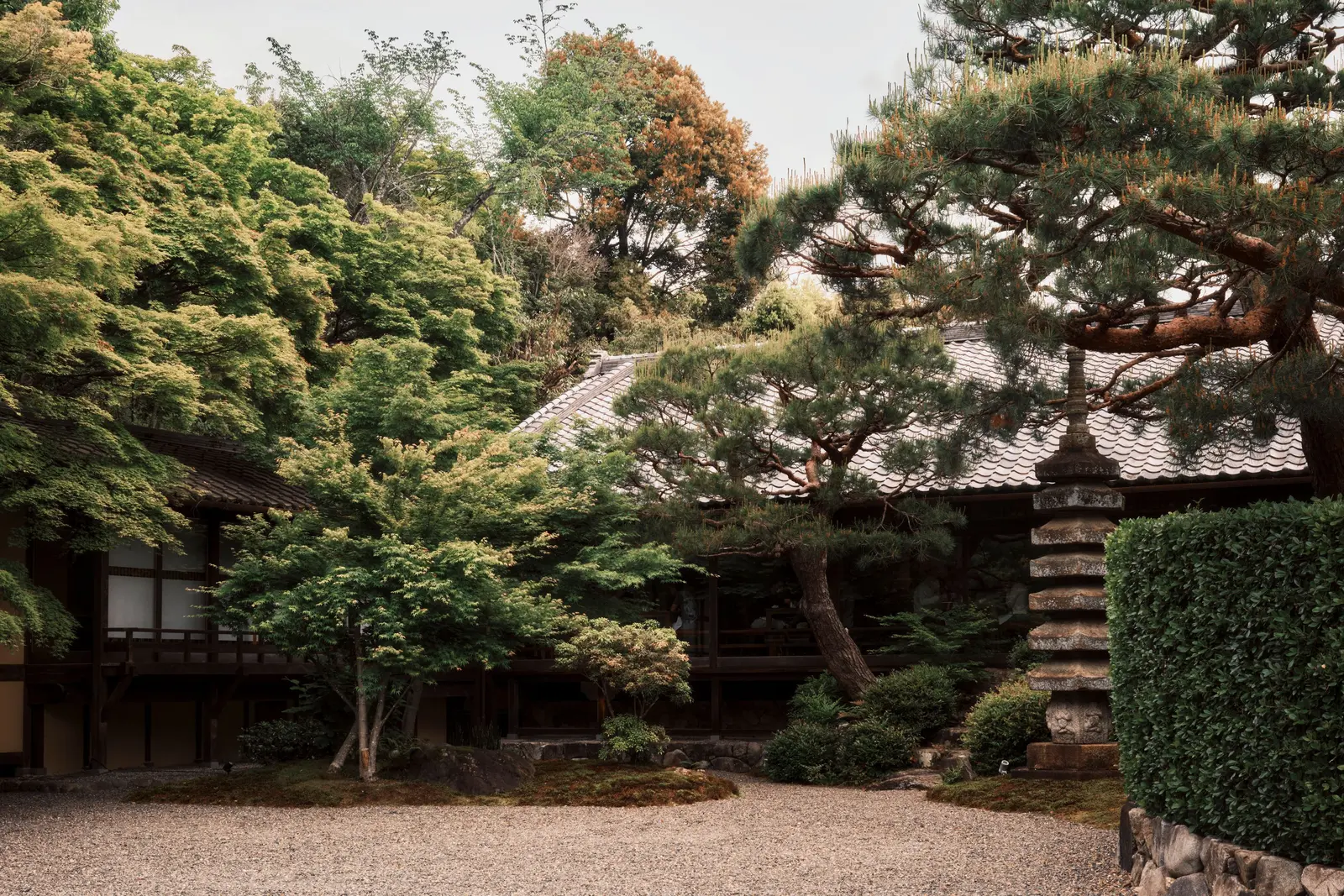 Kyoto Hotel Offers Immersive Culinary Expedition