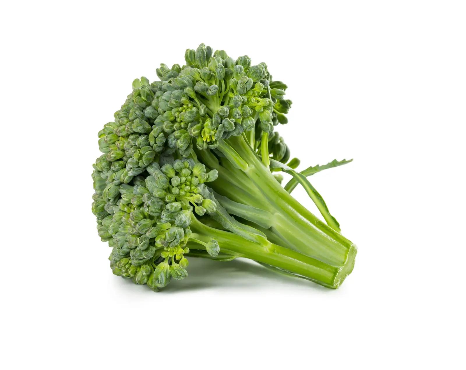 Long‑Stem Broccoli: Quick, Colorful, and Sweet