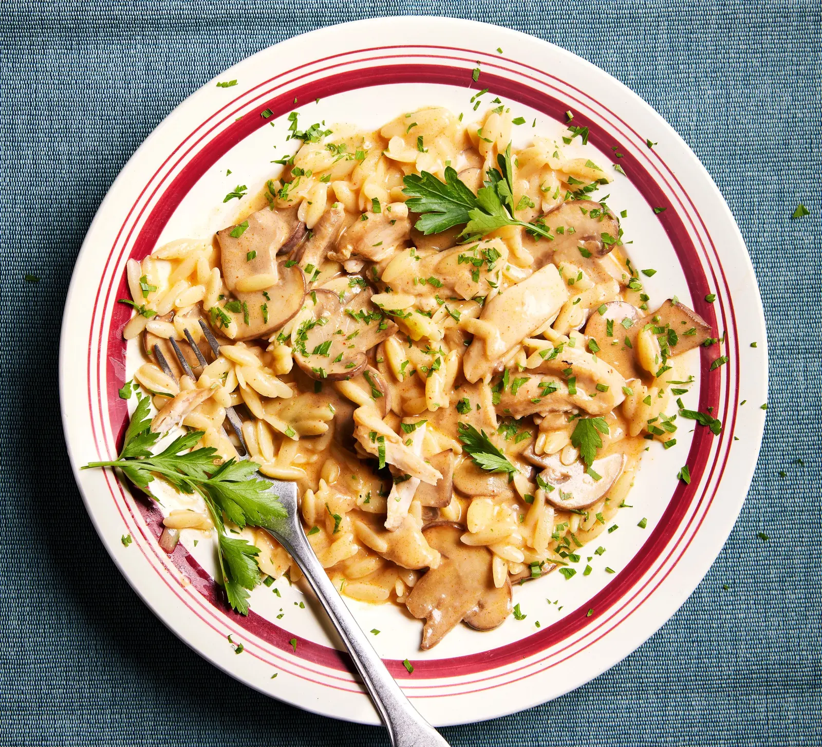 Chicken and Mushroom Stroganoff with Orzo in One Pot