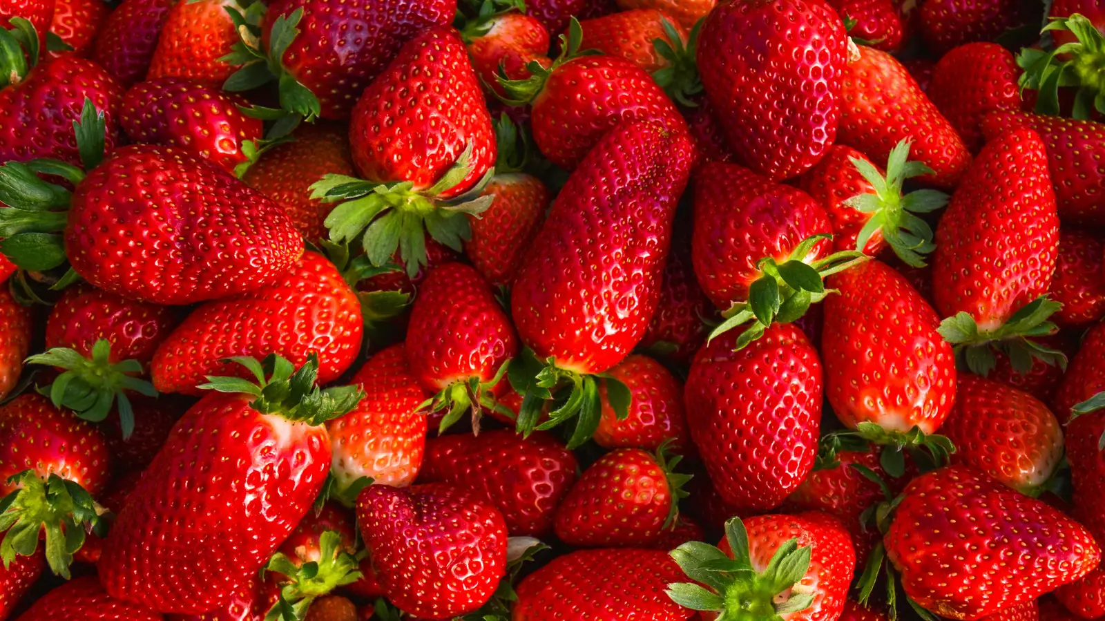 Salt Shaker Holds Key to Sweeter Strawberries, Study Suggests