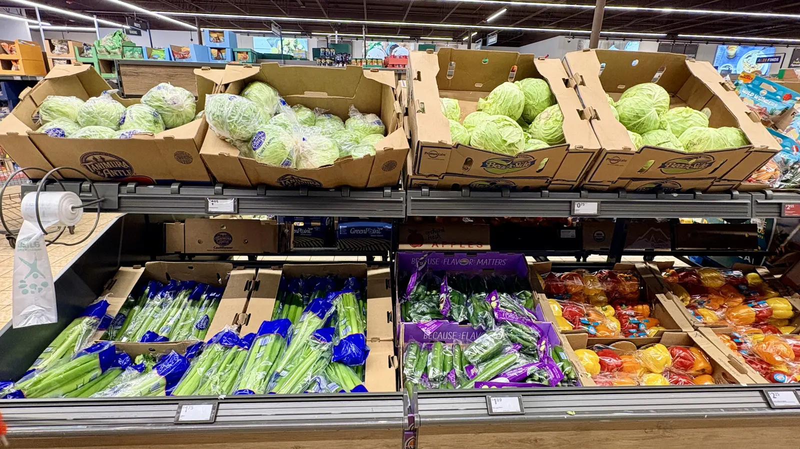 Affordable Thanksgiving: Aldi’s 2026 Meal for 10 Slashes Costs by Almost a Third