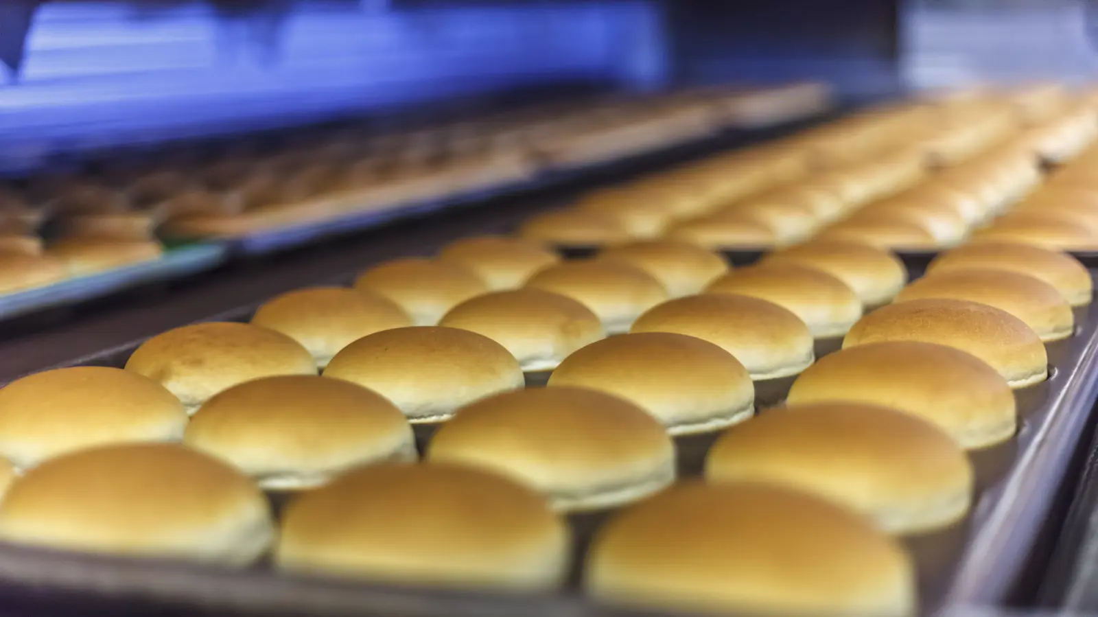 The Secret Origin of the Famous Buttered Bun