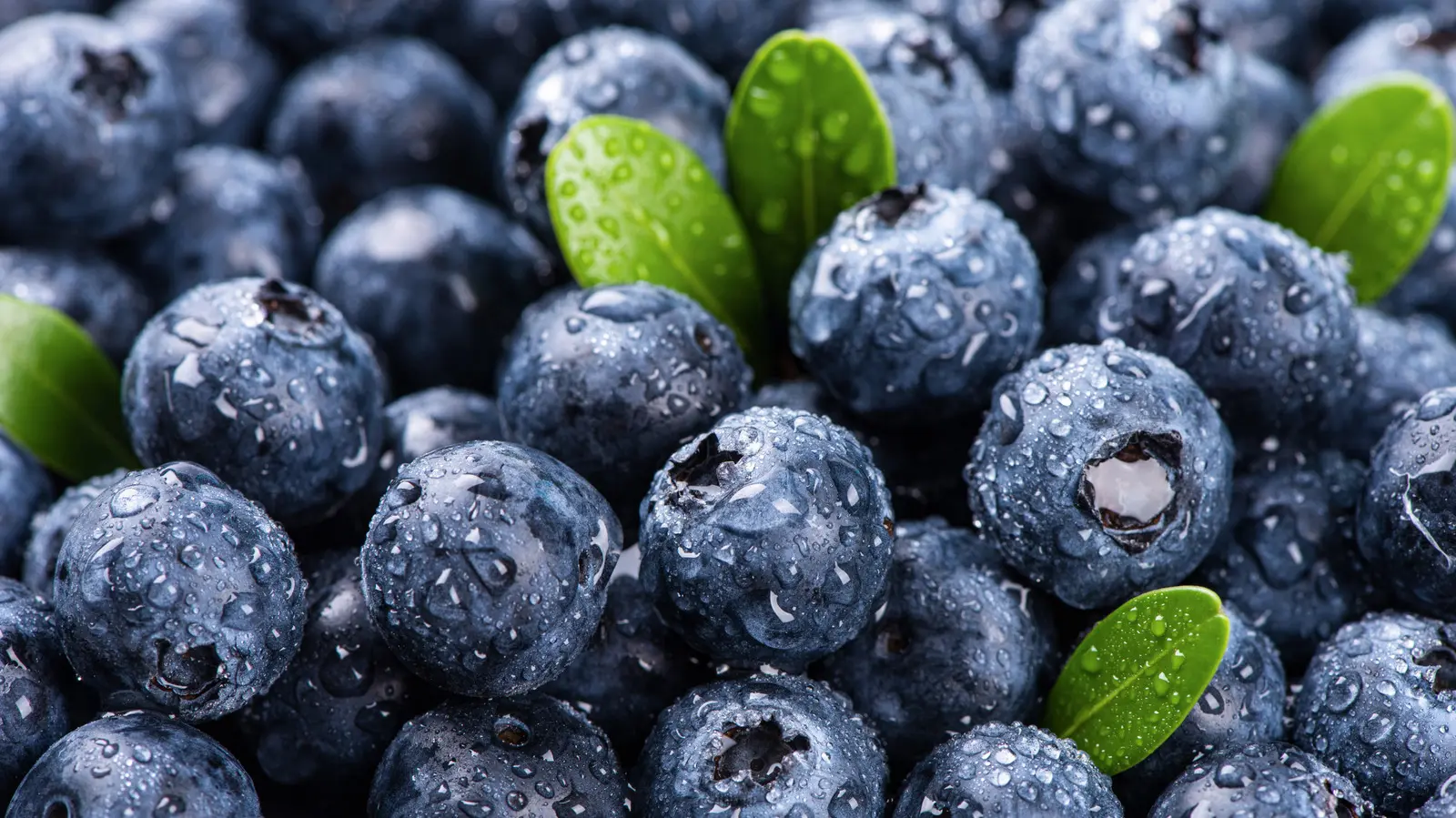 Turn Blueberries Into The Perfect Bite-Sized Candy With Just 2 Extra Ingredients