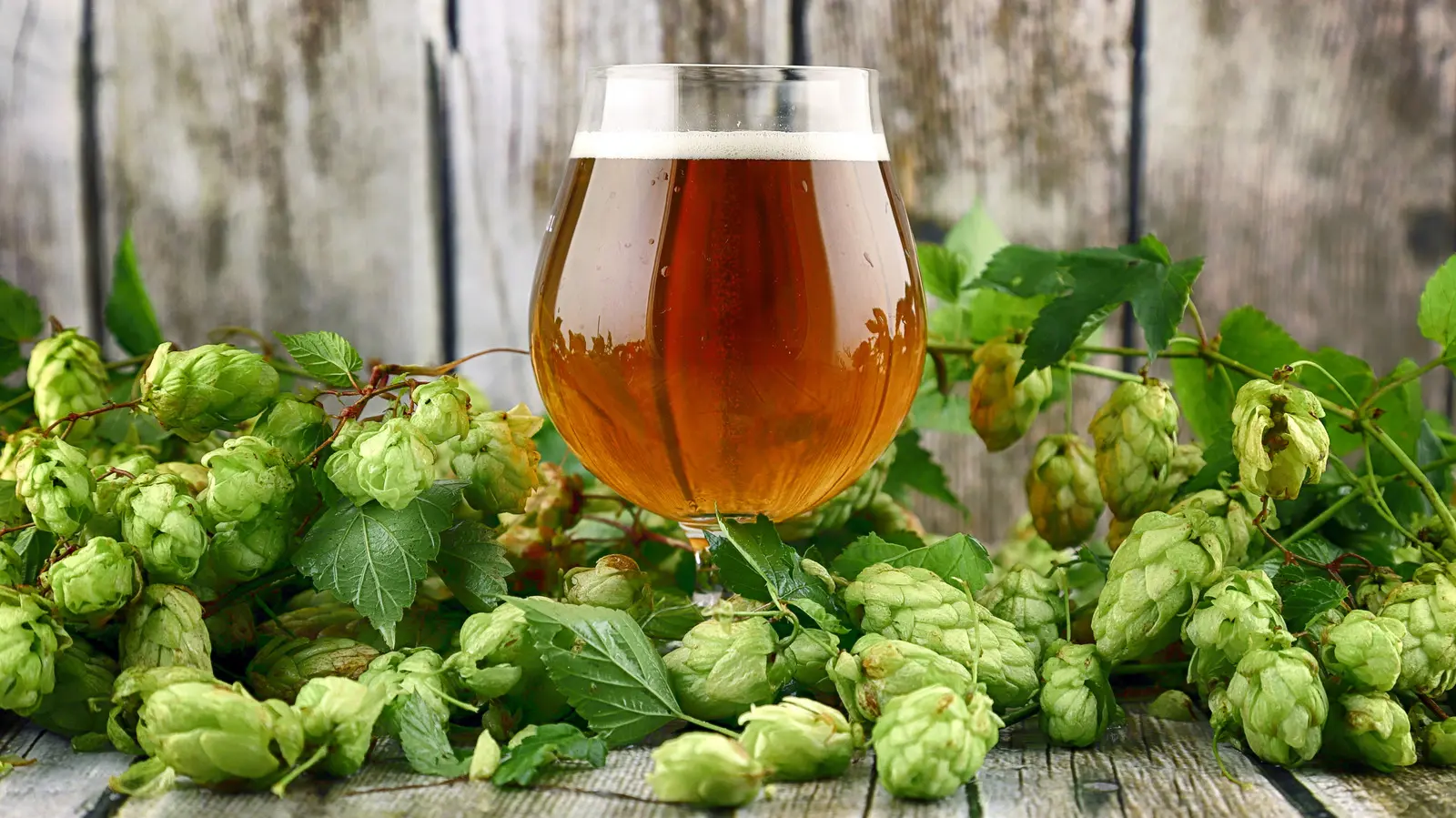 West Coast IPAs vs East Coast IPAs: A Flavor Battle Across the United States